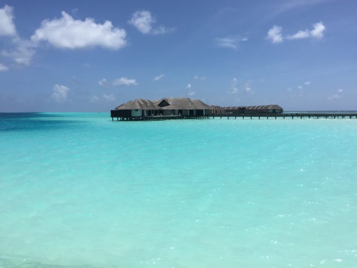 The Maldives islands : 2 weeks in Paradise